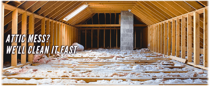 Attic Cleaning NYC