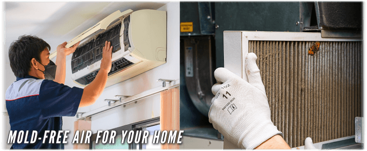 HVAC Mold Removal NYC